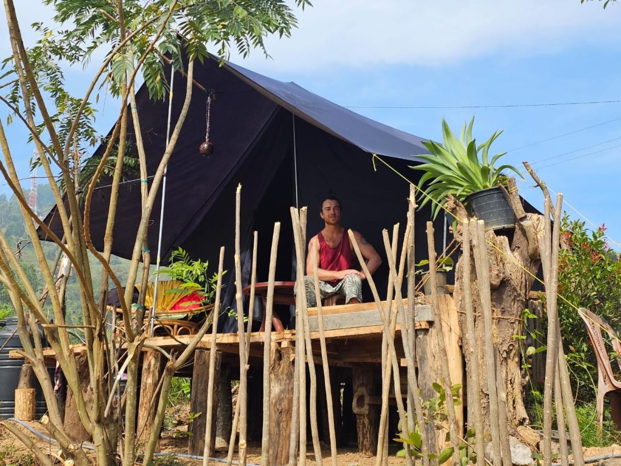 Tunnel Gap Homestay 엘라 외부 사진