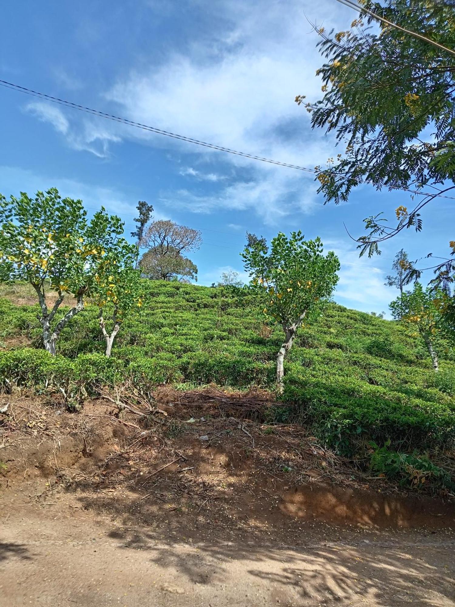 Tunnel Gap Homestay 엘라 외부 사진