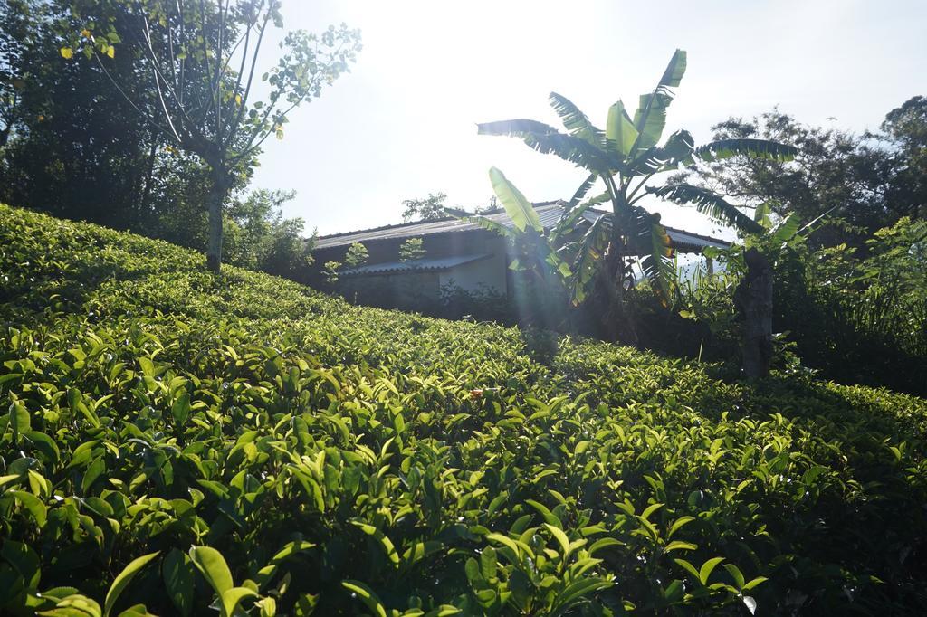 Tunnel Gap Homestay 엘라 외부 사진