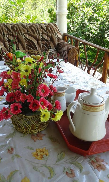 Tunnel Gap Homestay 엘라 외부 사진