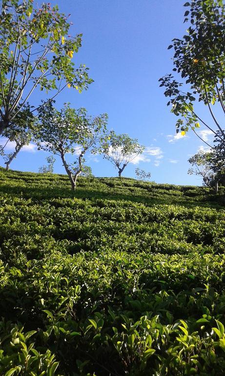 Tunnel Gap Homestay 엘라 외부 사진