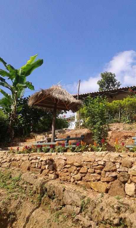 Tunnel Gap Homestay 엘라 외부 사진