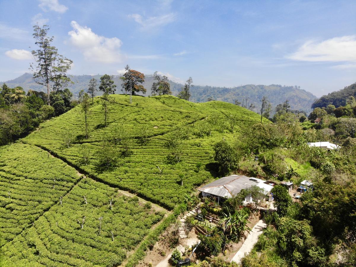 Tunnel Gap Homestay 엘라 외부 사진